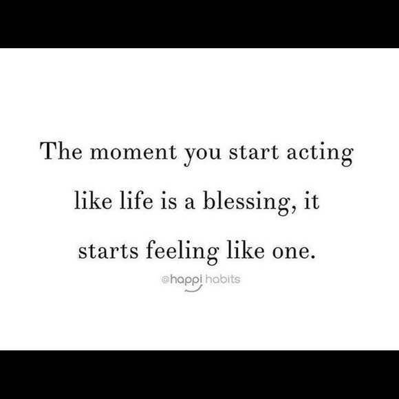 Meet your Posher, Crystal - Picture 8 of 8